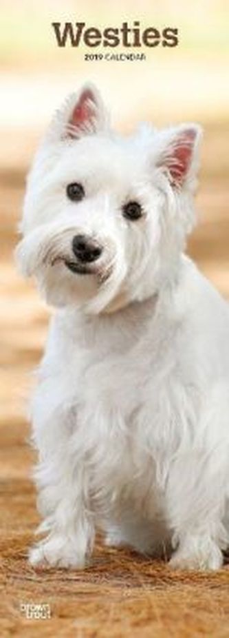 Westies 2019