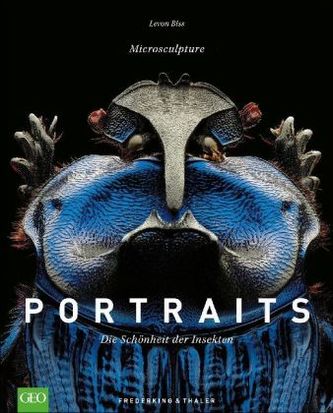 Portraits - Die Schönheit der Insekten Portraits - Die Schönheit der Insekten