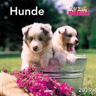 Hunde 2019