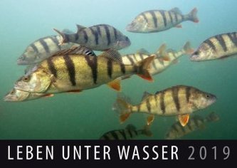 Leben unter Wasser 2019