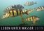 Leben unter Wasser 2019