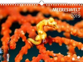 Meereswelt 2019