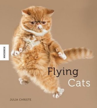 Flying Cats Flying Cats