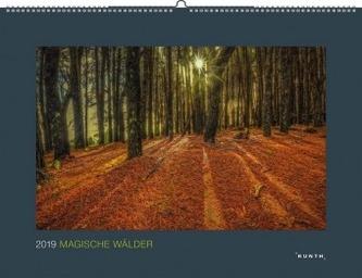 Magische Wälder 2019 Magische Wälder 2019
