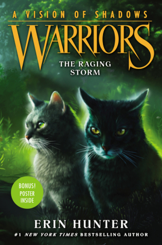 Warriors: A Vision of Shadows - The Raging Storm