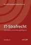 Handbuch IT-Strafrecht