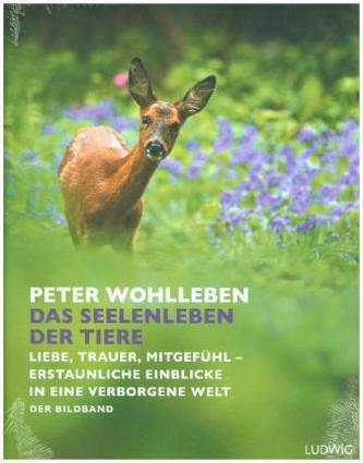 Das Seelenleben der Tiere