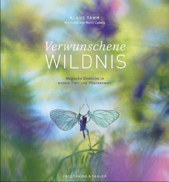 Die Seele der Natur Die Seele der Natur