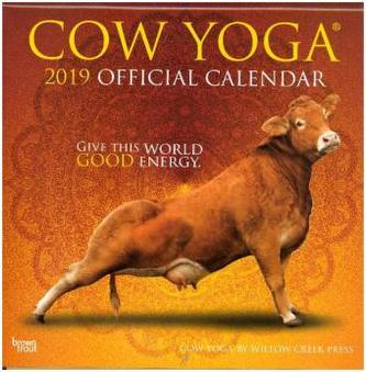 Cow Yoga 2019