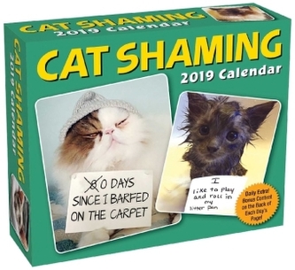 Cat Shaming 2019 Day-to-Day Calendar