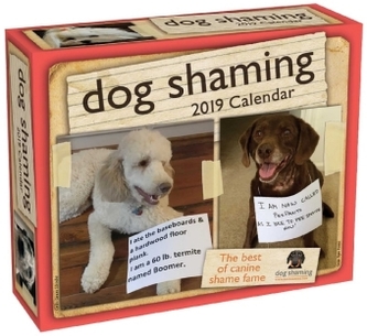 Dog Shaming 2019 Day-to-Day Calendar