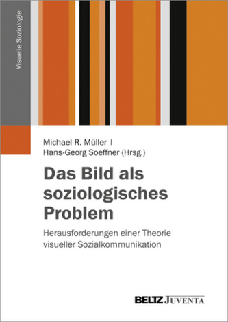 Das Bild als soziologisches Problem