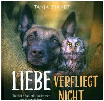 Liebe verfliegt nicht