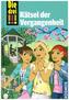 Die drei !!!, 74, Rätsel der Vergangenheit
