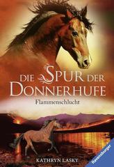 Die Spur der Donnerhufe, Band 1: Flammenschlucht