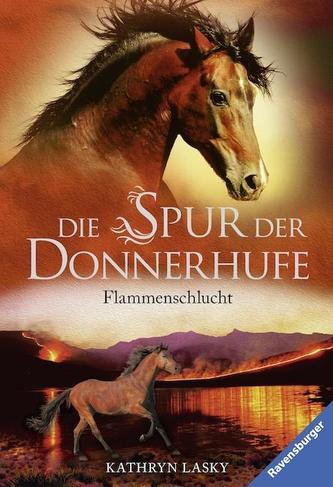 Die Spur der Donnerhufe, Band 1: Flammenschlucht