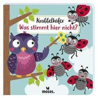 Krabbelkäfer Was stimmt hier nicht?