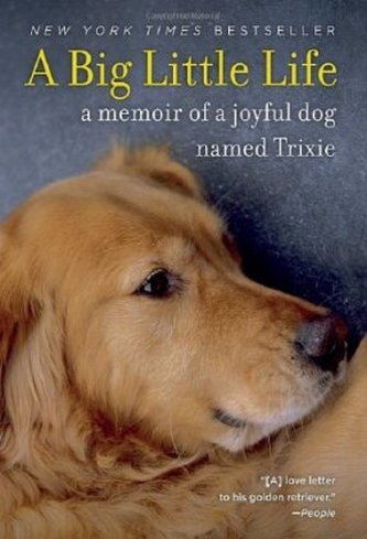 TRIXIE