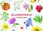 Blumenwahl