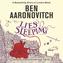 The Seventh Rivers of London novel