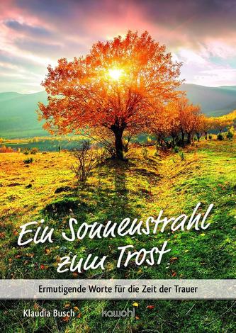 Ein Sonnenstrahl zum Trost