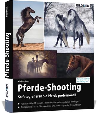 Pferde-Shooting