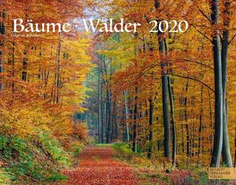 Bäume-Wälder 2020
