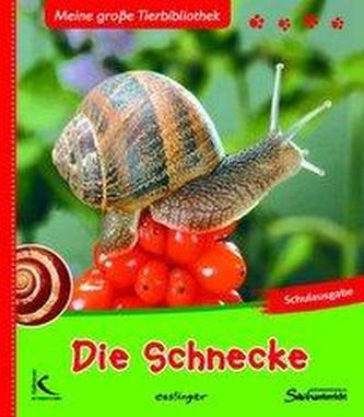 Die Schnecke