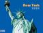 New York 2020