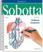 Sobotta Malbuch Anatomie