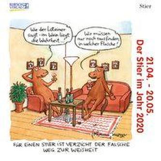 Stier Mini 2020