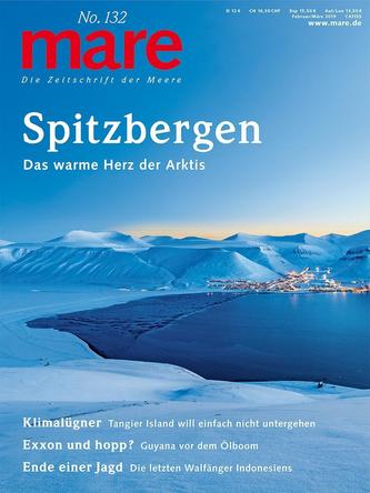 mare No. 132. Spitzbergen