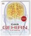 Das Gehirn