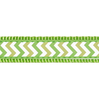 Vodítko RD přep. 25 mm x 2 m - Ziggy R - Limetková