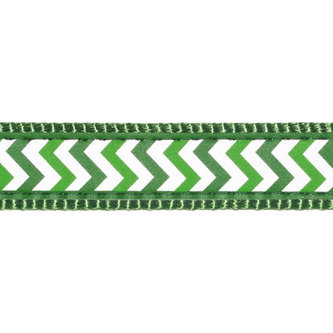 Vodítko RD přep. 20 mm x 2 m - Ziggy Rfx - Zelená