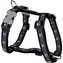 Postroj RD 25 mm x 71-113 cm - Skull & Wire Black