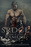 Srdce z kamene