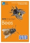 Rspb Id Spotlight - Bees