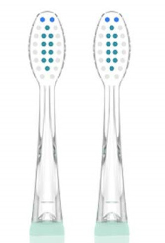 Seago Náhradní hlavice pro zubní kartáčky Seago SG-831