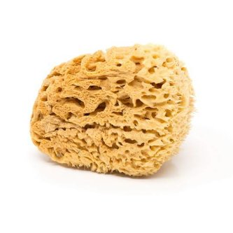 Natural Intimacy Mořská mycí houba na tělo