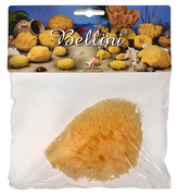 BELLINI Přírodní mořská houba – Středomořská – HONEYCOMB – SVĚTLÁ 14 - 15 cm