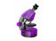 Mikroskop LEVENHUK LabZZ M101 PURPLE
