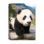 Sešit 3D A5 Panda