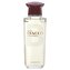 Antonio Banderas Diavolo Men - EDT 100 ml man
