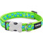 Obojek RD 12 mm x 20-32 cm - Stars Turquoise