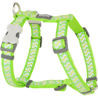 Postroj RD 25 mm x 56-80 cm - Ziggy Rfx- Limetková