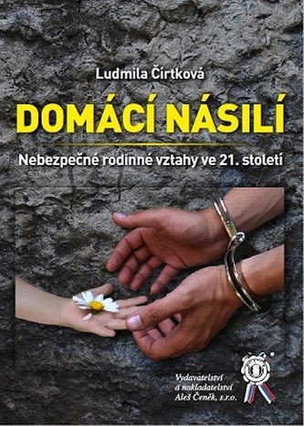 Domácí násilí