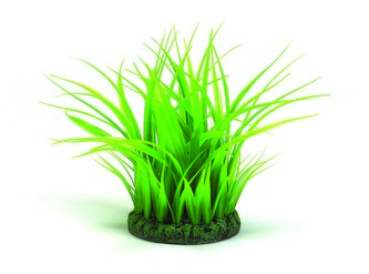 Rostl.akv.BIORB UH zelena S