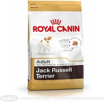 RC-BHN Jack Russel 1,5kg