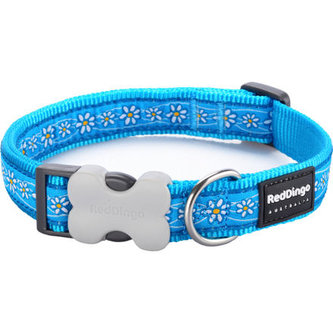 Obojek RD 15 mm x 24-37 cm - Daisy Chain Turquoise
